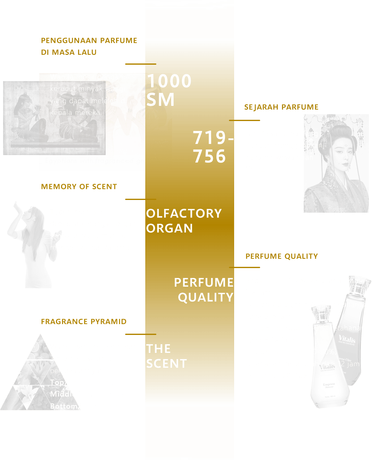 Perfume Infographic